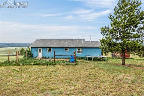 Tiny photo for 406 High Pasture Road, Florissant, CO 80816 (MLS # 9339879)