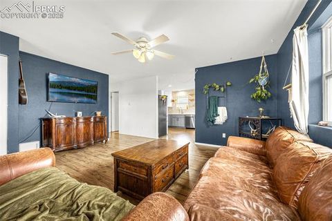 Tiny photo for 406 High Pasture Road, Florissant, CO 80816 (MLS # 9339879)