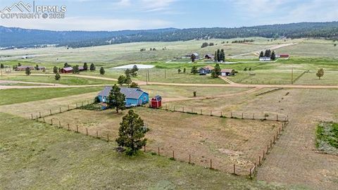 Tiny photo for 406 High Pasture Road, Florissant, CO 80816 (MLS # 9339879)