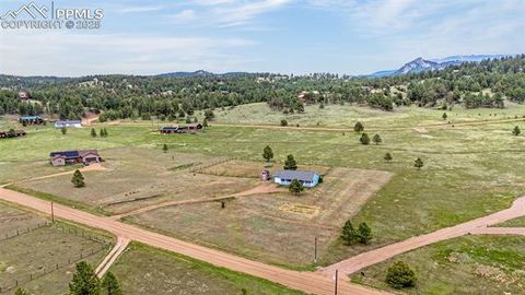 Tiny photo for 406 High Pasture Road, Florissant, CO 80816 (MLS # 9339879)