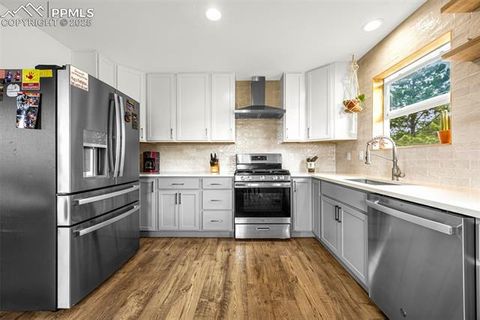 Tiny photo for 406 High Pasture Road, Florissant, CO 80816 (MLS # 9339879)