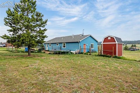 Tiny photo for 406 High Pasture Road, Florissant, CO 80816 (MLS # 9339879)
