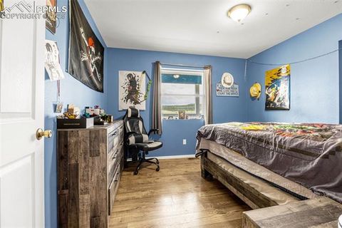 Tiny photo for 406 High Pasture Road, Florissant, CO 80816 (MLS # 9339879)