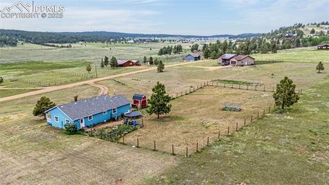 Tiny photo for 406 High Pasture Road, Florissant, CO 80816 (MLS # 9339879)