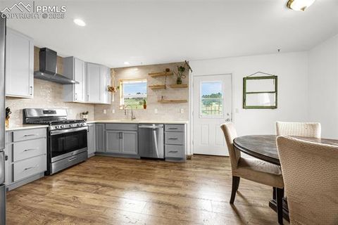 Tiny photo for 406 High Pasture Road, Florissant, CO 80816 (MLS # 9339879)