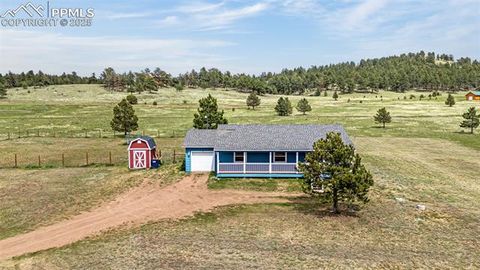 Tiny photo for 406 High Pasture Road, Florissant, CO 80816 (MLS # 9339879)