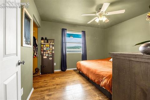 Tiny photo for 406 High Pasture Road, Florissant, CO 80816 (MLS # 9339879)