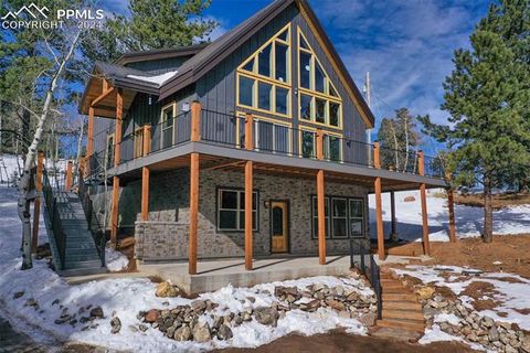125 Kestrel Court Divide CO 80814