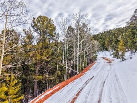 Photo of 165 Witherite Drive, Divide, CO 80814 (MLS # 3351640)