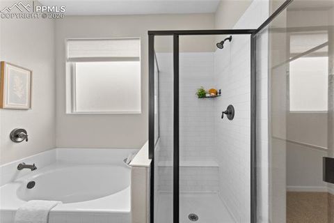 Tiny photo for 5509 Harbor Town Drive, Elizabeth, CO 80107 (MLS # 4969468)