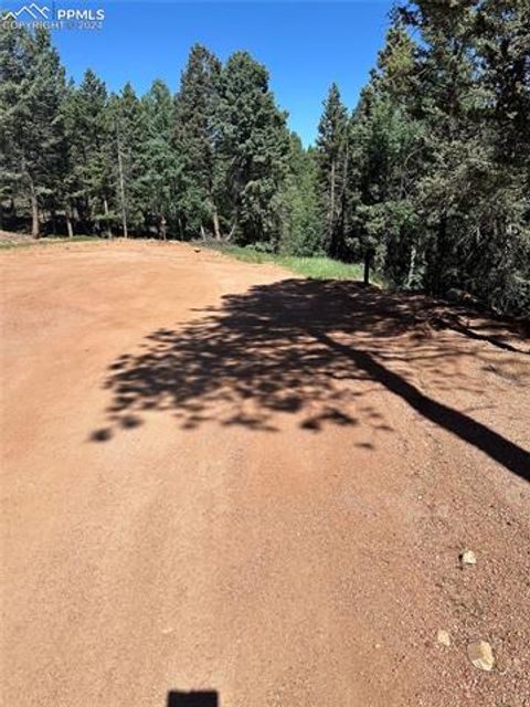 Photo of 67 Gerka Lane, Florissant, CO 80816 (MLS # 7542010) Photo of 67 Gerka Lane, Florissant, CO 80816 (MLS # 7542010)