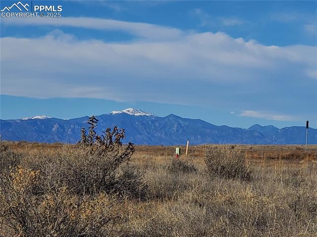 1942 E Purcell Boulevard