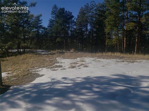 Photo of 206 Eagles Perch Place, Woodland Park, CO 80863 (MLS # 9933926)