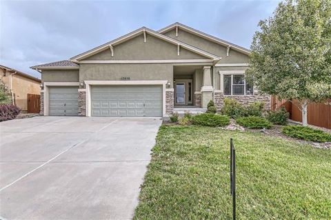 Photo of 12650 Handles Peak Way, Peyton, CO 80831 (MLS # R13955561)