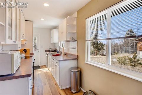 Tiny photo for 201 Dillon Lane, Florissant, CO 80816 (MLS # 3273834)