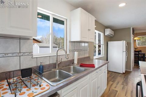Tiny photo for 201 Dillon Lane, Florissant, CO 80816 (MLS # 3273834)