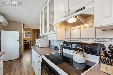 Tiny photo for 201 Dillon Lane, Florissant, CO 80816 (MLS # 3273834)