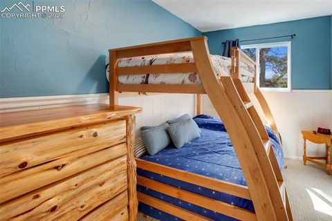 Tiny photo for 201 Dillon Lane, Florissant, CO 80816 (MLS # 3273834)