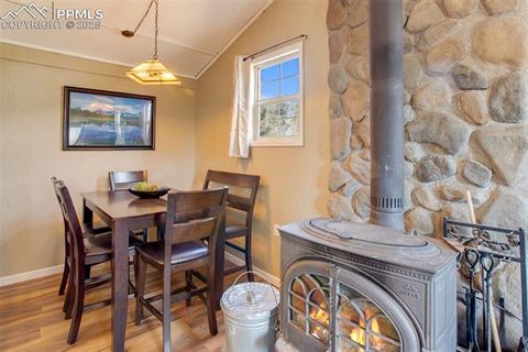 Tiny photo for 201 Dillon Lane, Florissant, CO 80816 (MLS # 3273834)