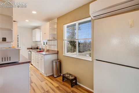 Tiny photo for 201 Dillon Lane, Florissant, CO 80816 (MLS # 3273834)