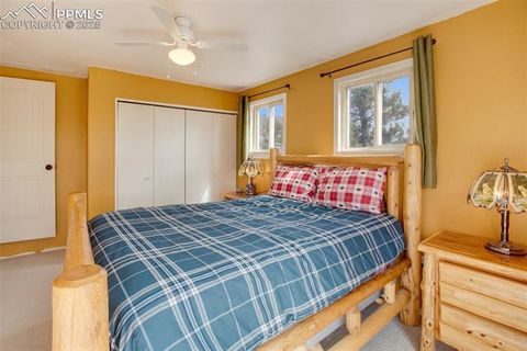 Tiny photo for 201 Dillon Lane, Florissant, CO 80816 (MLS # 3273834)