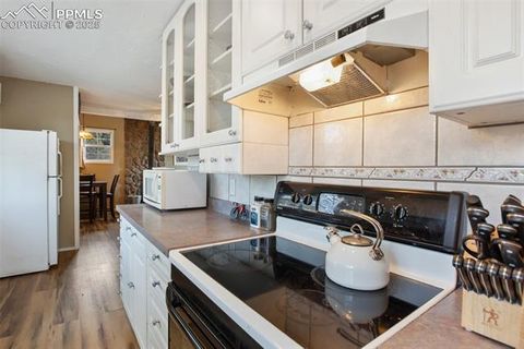 Tiny photo for 201 Dillon Lane, Florissant, CO 80816 (MLS # 3273834)