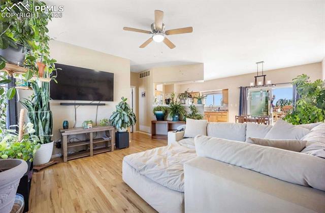 1036 S Los Charros Drive