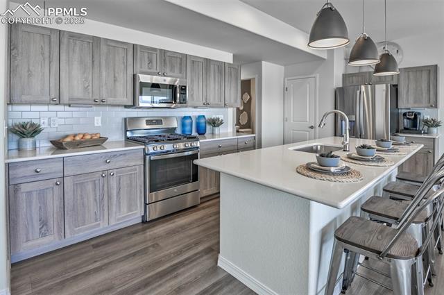 8133 Isabel Place