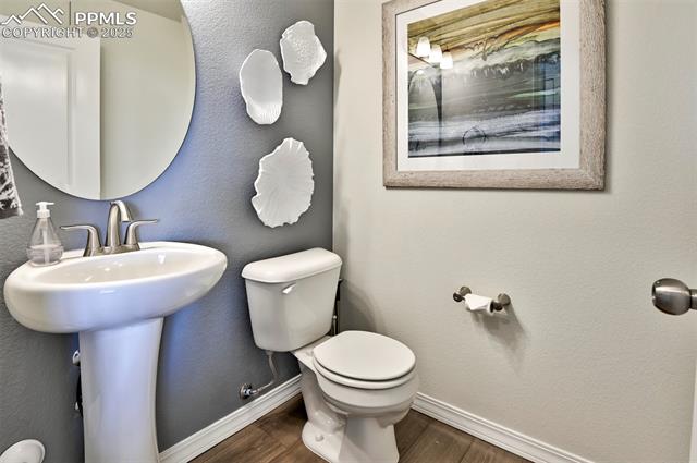 8133 Isabel Place