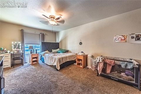 Tiny photo for 3054 Harpy Grove, Colorado Springs, CO 80916 (MLS # 9438034)