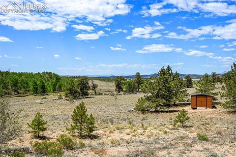 Tiny photo for 1689 Grand Teton Drive, Hartsel, CO 80449 (MLS # 4052704)