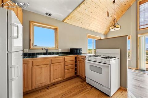 Tiny photo for 1689 Grand Teton Drive, Hartsel, CO 80449 (MLS # 4052704)