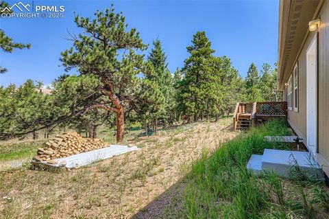 Tiny photo for 67 Mohawk Circle, Florissant, CO 80816 (MLS # 8100388)
