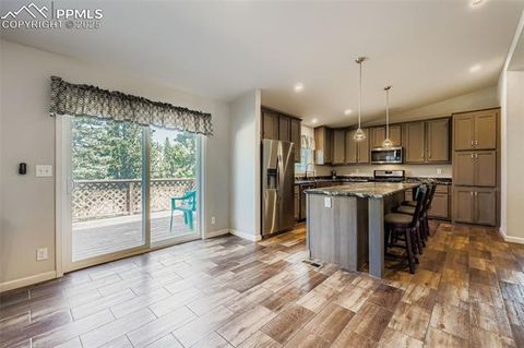 Tiny photo for 67 Mohawk Circle, Florissant, CO 80816 (MLS # 8100388)