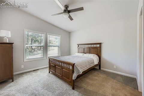 Tiny photo for 67 Mohawk Circle, Florissant, CO 80816 (MLS # 8100388)