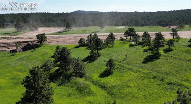 17629 Emerson Cliff Court