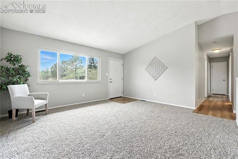 Tiny photo for 1138 Tulip Place, Colorado Springs, CO 80907 (MLS # 8197689)