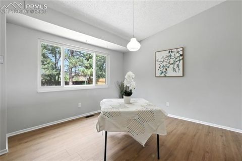 Tiny photo for 1138 Tulip Place, Colorado Springs, CO 80907 (MLS # 8197689)