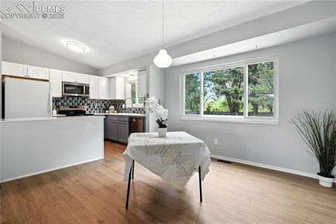 Tiny photo for 1138 Tulip Place, Colorado Springs, CO 80907 (MLS # 8197689)