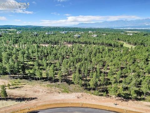 Photo of 14882 Quartz Creek Road, Colorado Springs, CO 80908 (MLS # 8705468)