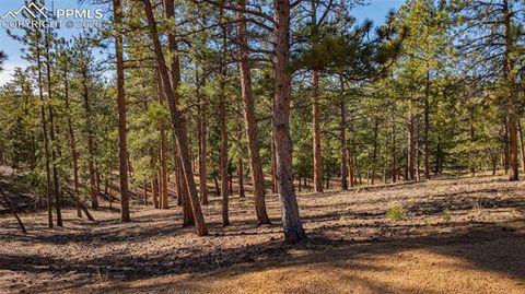 Photo of 113 Schmittel Drive, Sedalia, CO 80135 (MLS # 6138473)