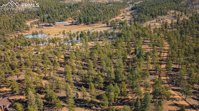 113 Schmittel Drive, Sedalia, CO, 80135 113 Schmittel Drive