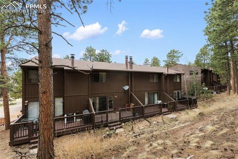 Tiny photo for 560 Manor Court #C, Woodland Park, CO 80863 (MLS # 7585339)