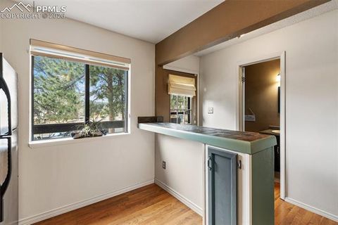 Tiny photo for 560 Manor Court #C, Woodland Park, CO 80863 (MLS # 7585339)