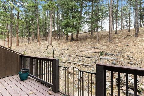 Tiny photo for 560 Manor Court #C, Woodland Park, CO 80863 (MLS # 7585339)
