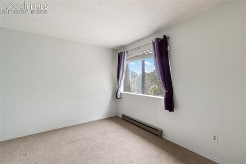 Tiny photo for 560 Manor Court #C, Woodland Park, CO 80863 (MLS # 7585339)