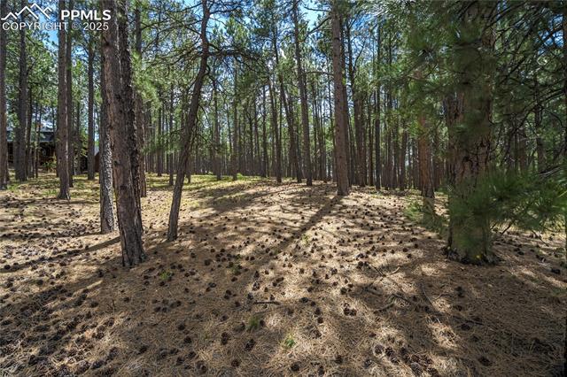 17960 Smugglers Road