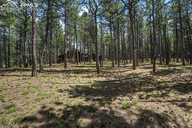17960 Smugglers Road
