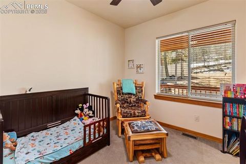 Tiny photo for 935 Bennett Drive, Cripple Creek, CO 80813 (MLS # 5687781)