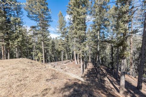Tiny photo for 935 Bennett Drive, Cripple Creek, CO 80813 (MLS # 5687781)